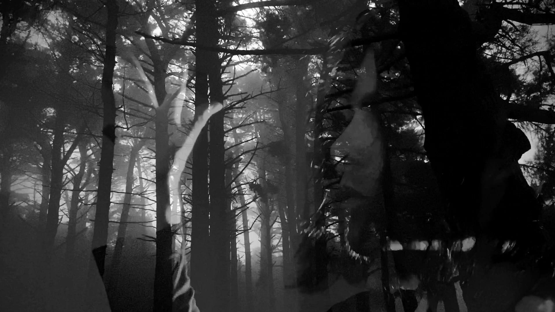 Pentagram Home Video